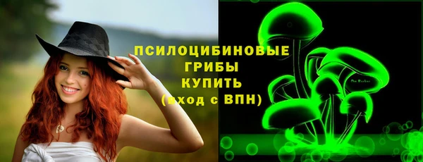ГАЛЛЮЦИНОГЕННЫЕ ГРИБЫ Алзамай