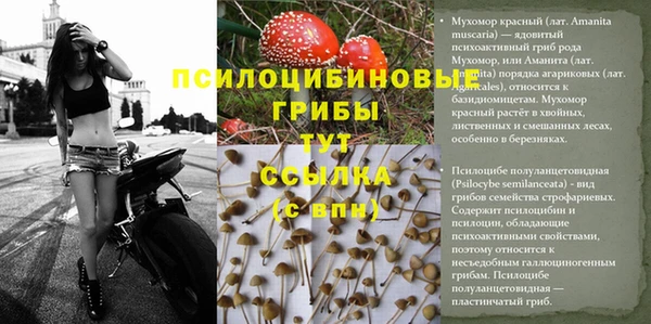 бошки Алексин