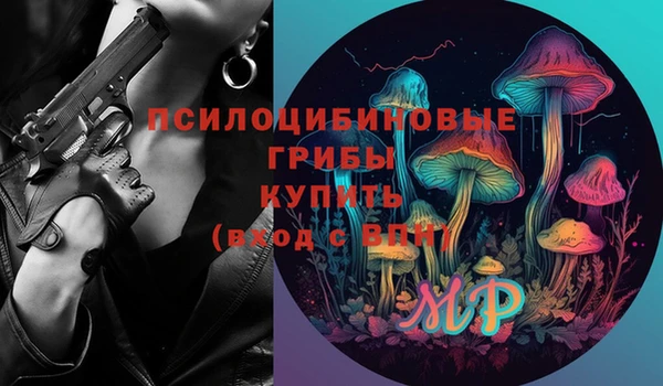 бошки Алексин