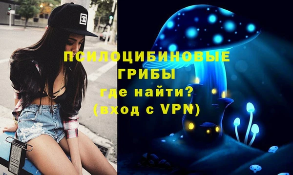 ГАЛЛЮЦИНОГЕННЫЕ ГРИБЫ Алзамай