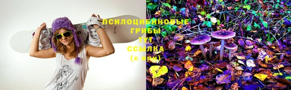 бошки Алексин