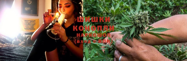 ГАЛЛЮЦИНОГЕННЫЕ ГРИБЫ Алзамай