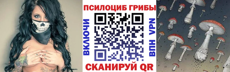 дарк нет официальный сайт  Фатеж  Галлюциногенные грибы мицелий 